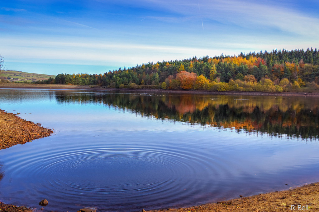 Ripples