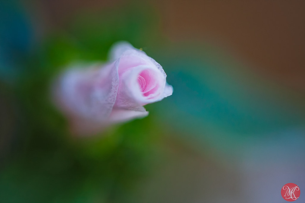 Softest touch