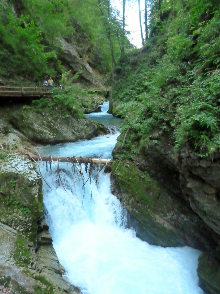 Vintgar gorge
