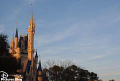 Magic Kingdom Park - Cinderella Castle