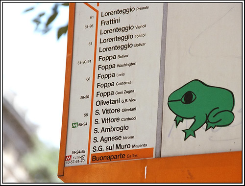 Frog