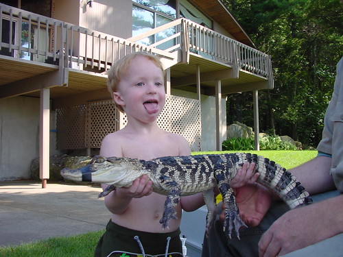 Quinn and the Alligator, #2