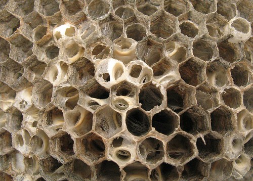 Honeycomb