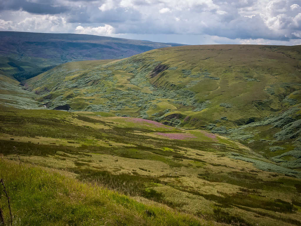 L1130388-150901-221.jpg