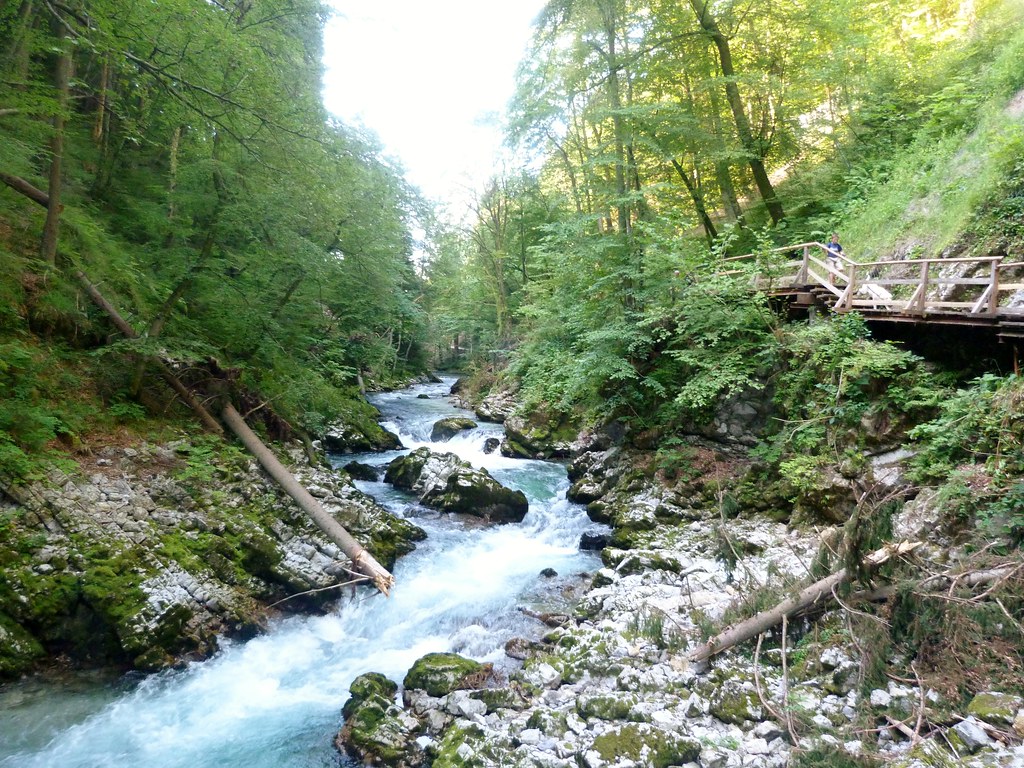 Vintgar gorge