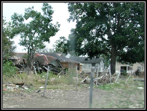 Ninth Ward #10