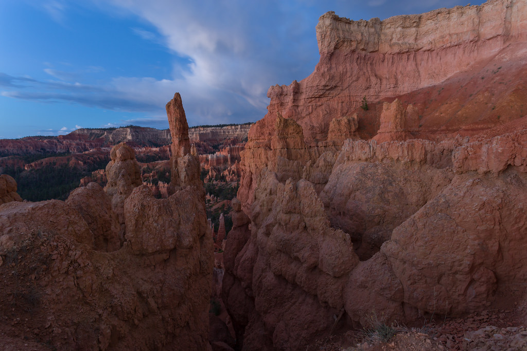 Soft Light Hoodoo