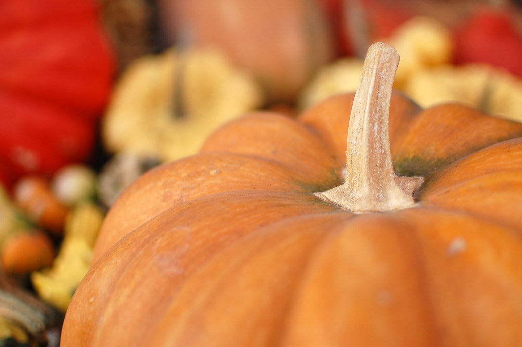 Pumpkin
