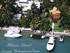 40 Hibiscus Island
