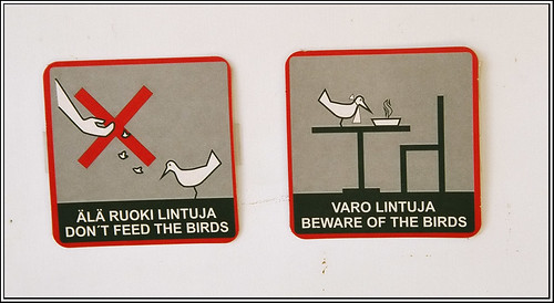 Birds