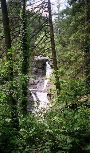 Raymondskill Falls - Peek through Trees