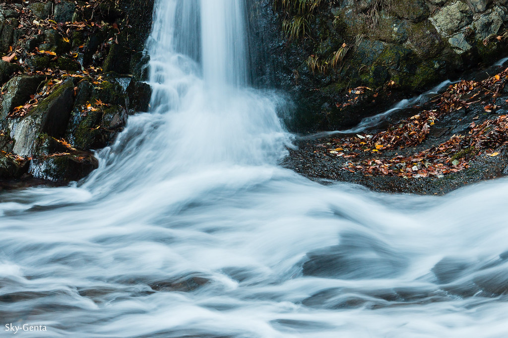 Autumn stream