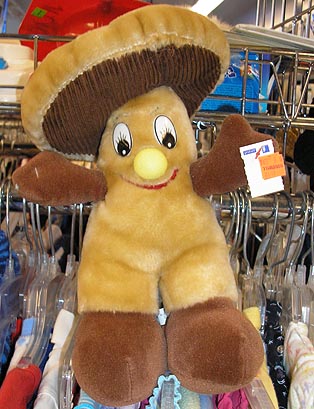 Remember your favorite stuffed critter?
