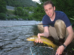 A brown trout I caught