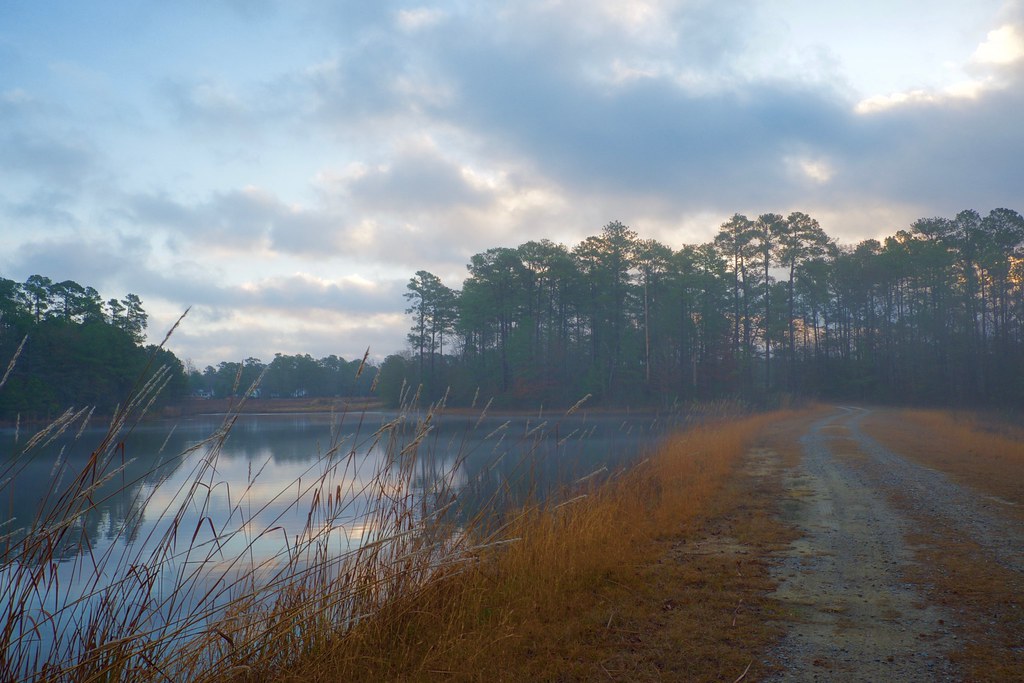 Misty morning at the farm