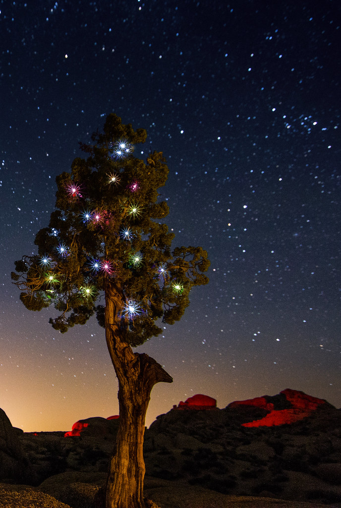 O' Christmas Tree, O' Christmas Tree
