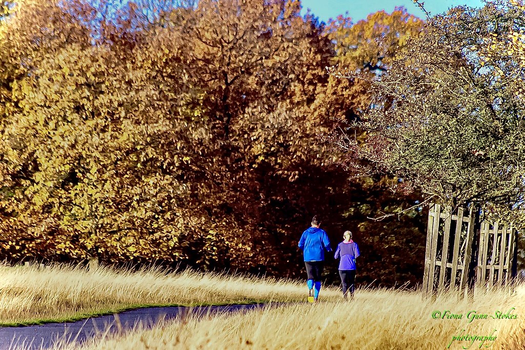 Autumn Run...