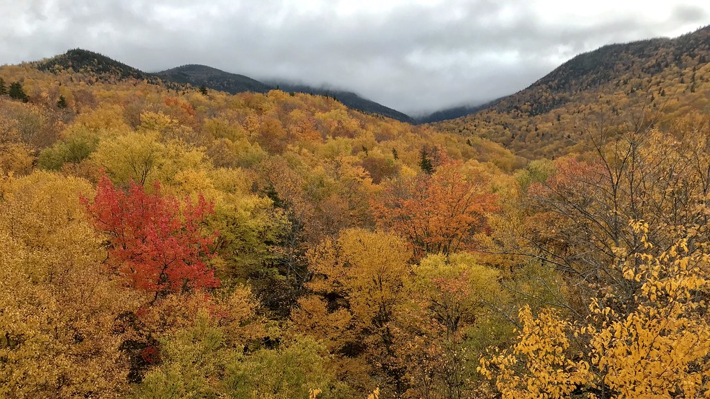 Autumn View of Mt. Lafayette