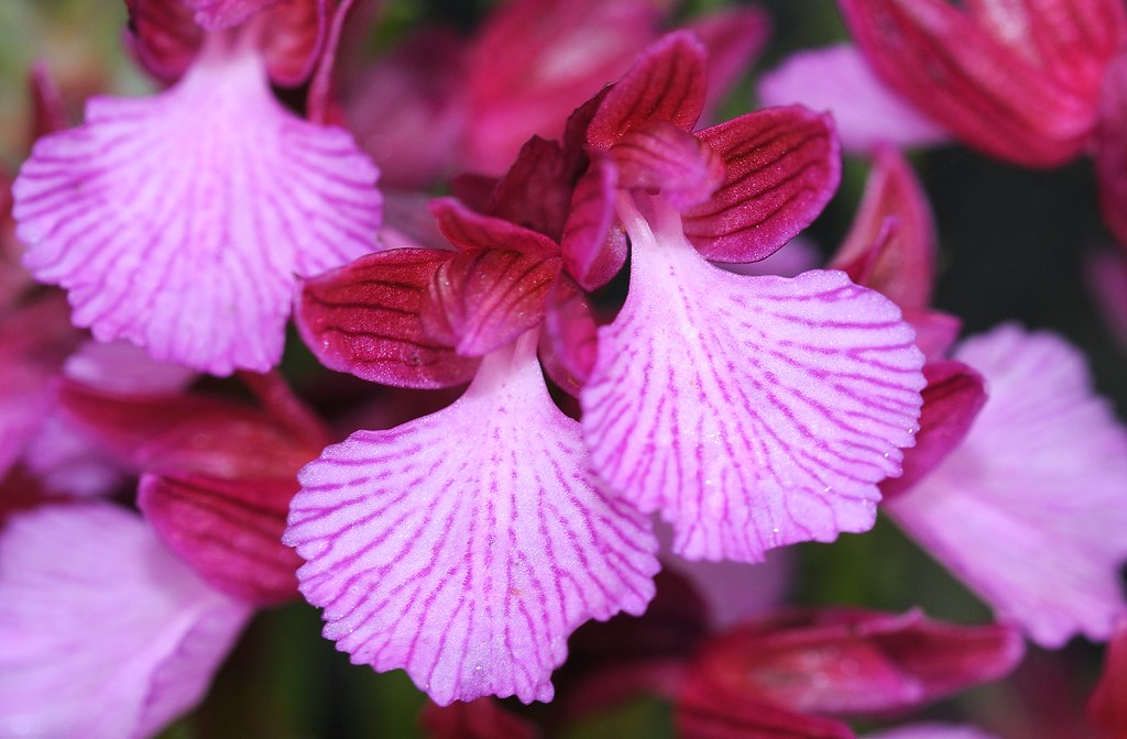 20190423-035F