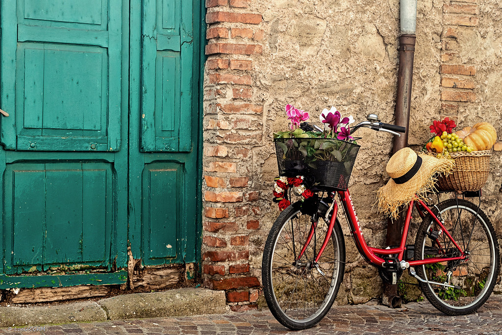 GREEN DOOR AND BIKE / FALL TIME - ITALIA