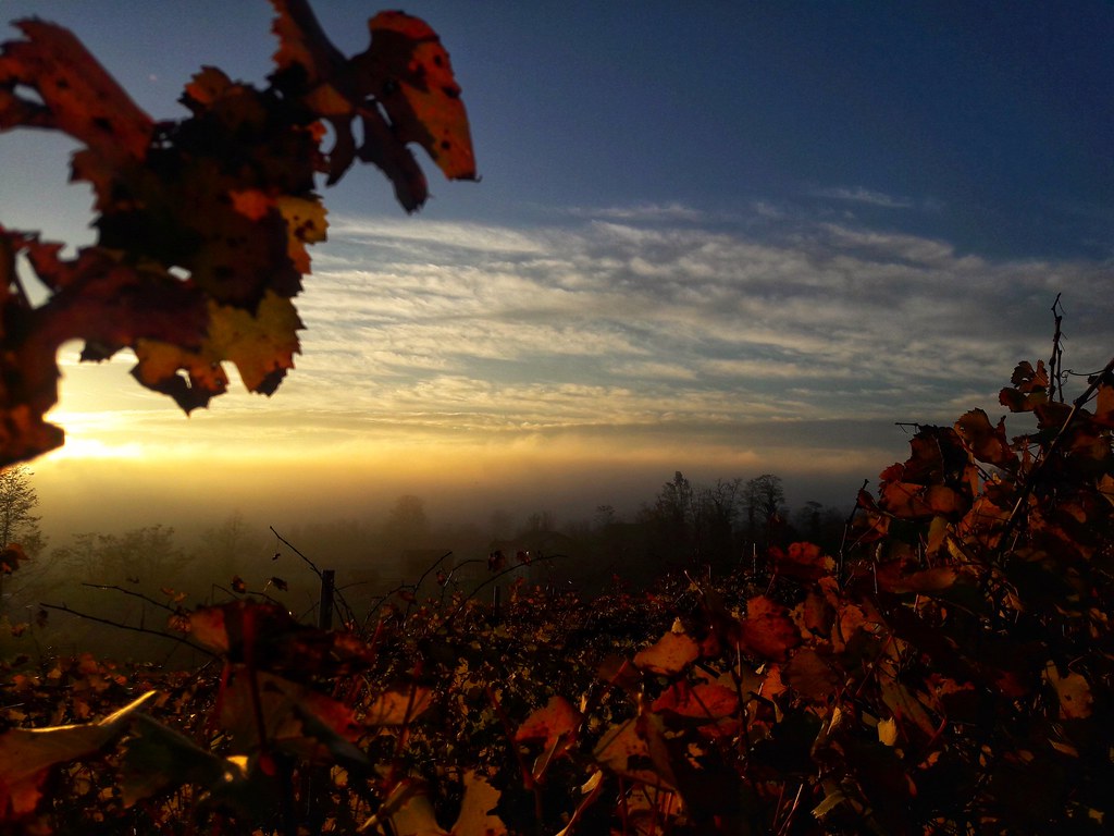 Autumn in Monferrato