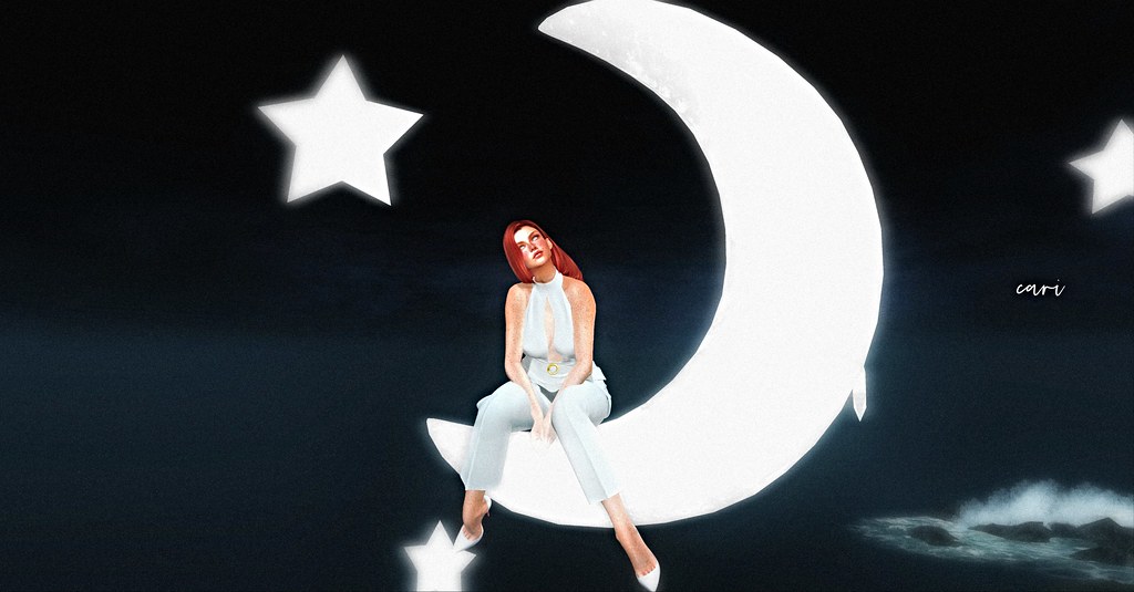 man on the moon