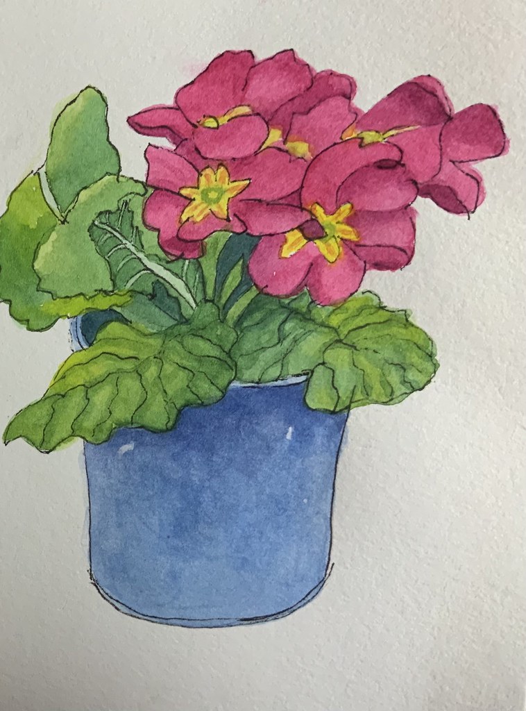 Pretty Primroses