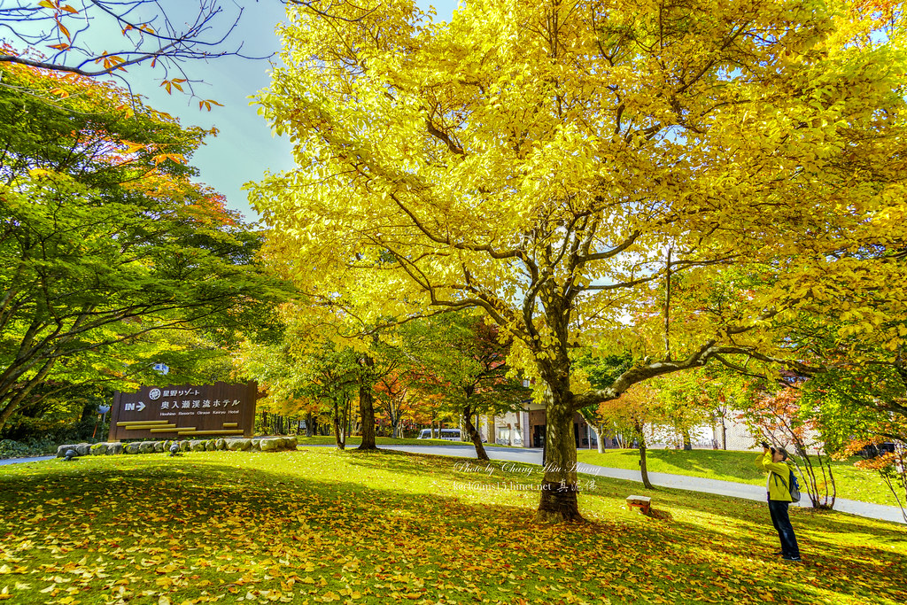 Autumn