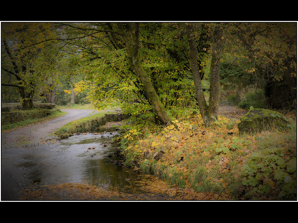 The Ford