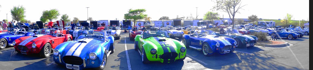 Must Have Cobra!!!