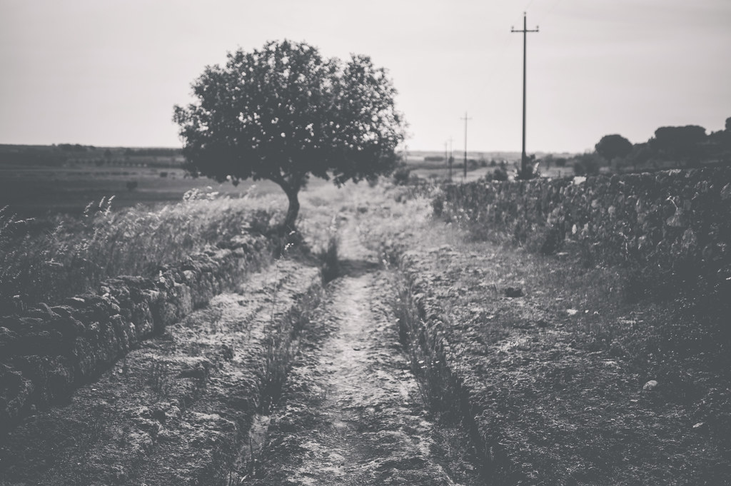 frozen in time /bw edition/