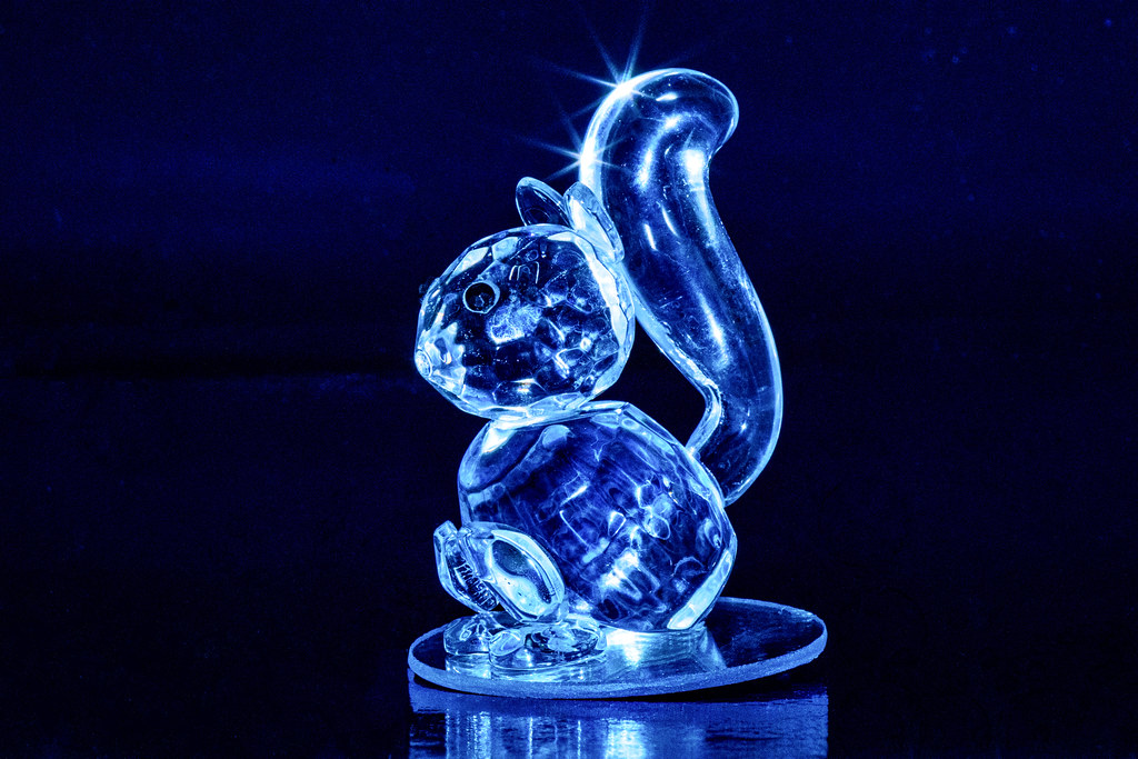 Glas Eichh&ouml;rnchen / Glass squirrel