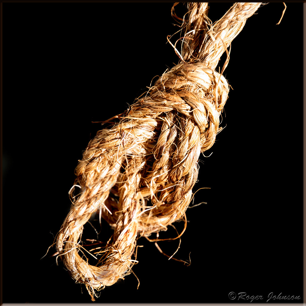 All Knotted Up
