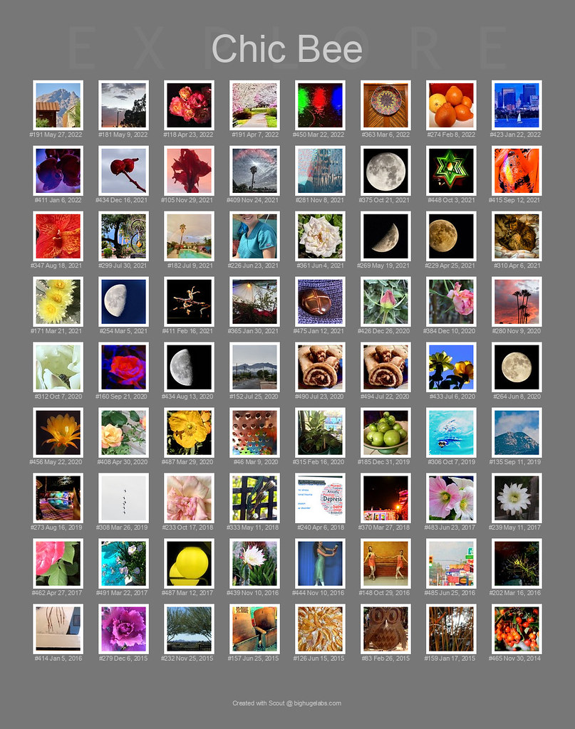 The 72 Most Recent of 152 of Chic's Photos That Have Been In Explore