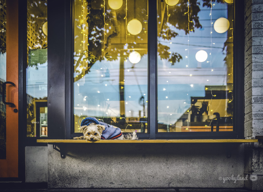 11.15.2022: just chillin'🍦