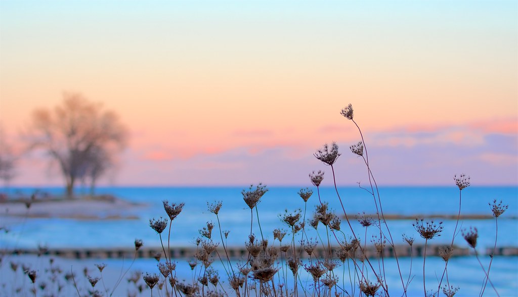 Lakeshore Sunset