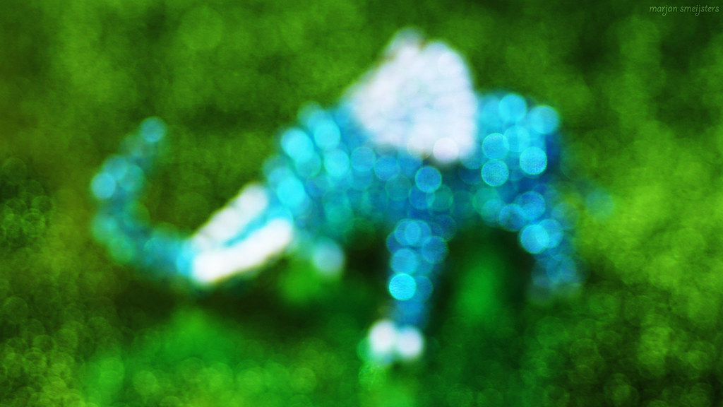 Bokeh Only