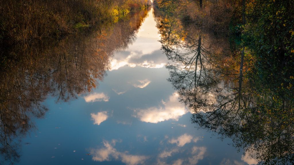 The world upside down