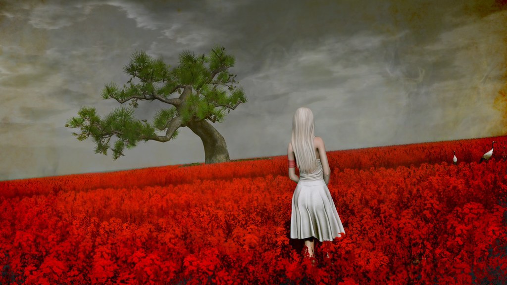 A life full of events and twists. When everything goes wrong, I look for solitude - in those moments I can always remember my mom's warm hug. I miss that a lot