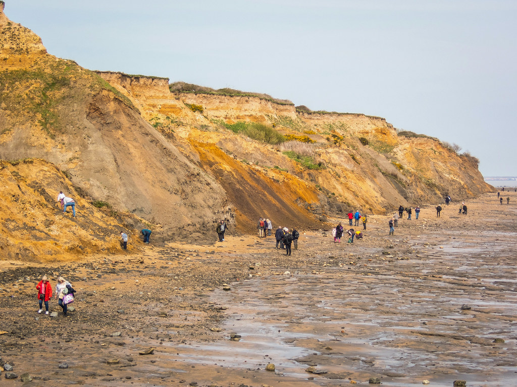 Fossil hunters