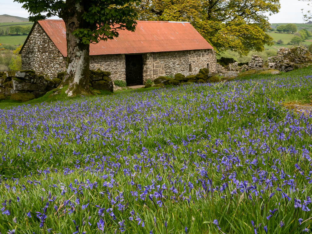 Emsworthy Barn, Dartmoor, Devon.