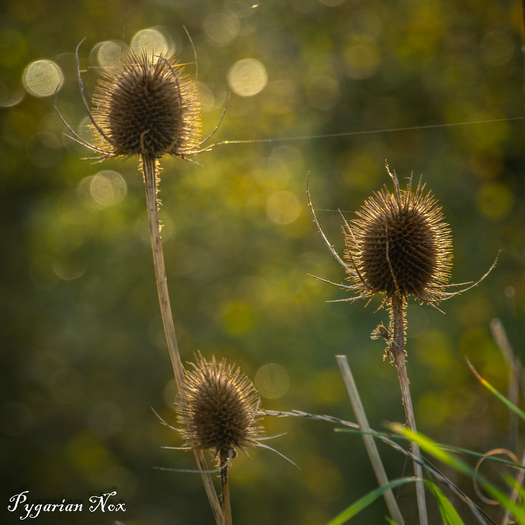 End of Autumn