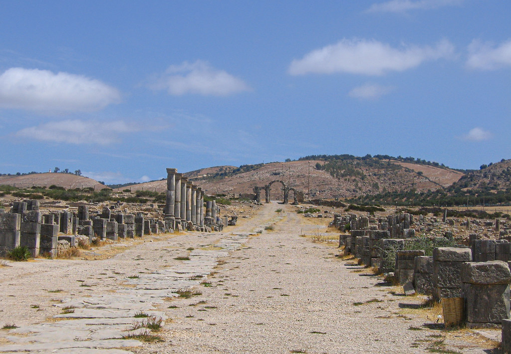 The Decumanus Maximus, Volubilis (Morocco)