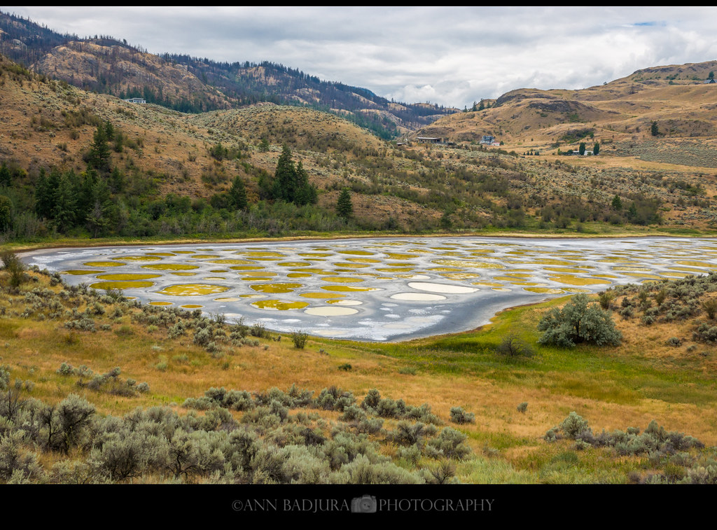 Spotted Lake in Osoyoos, Canada