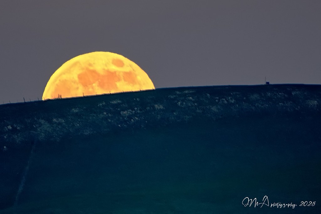 THE RISING OF THE COLD MOON ... (DSC_1188)