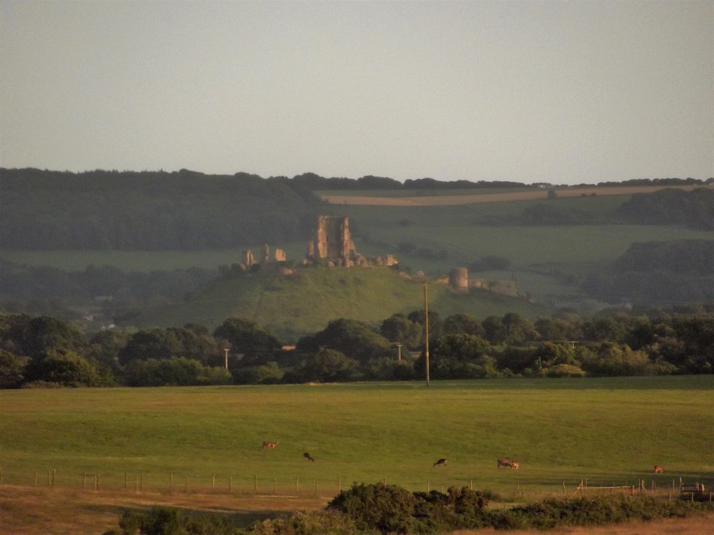 Corfe Castle from RSPB Arne near Wareham in Dorset, England - June 2011
