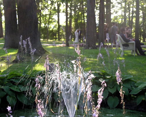 DSCN2549.jpg