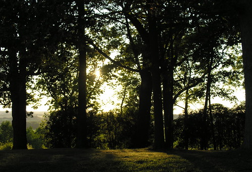 DSCN2564.jpg