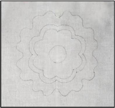 Floral Applique Quilt - Make an Applique Medallion and Learn the