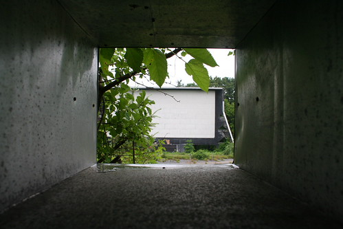 screen
